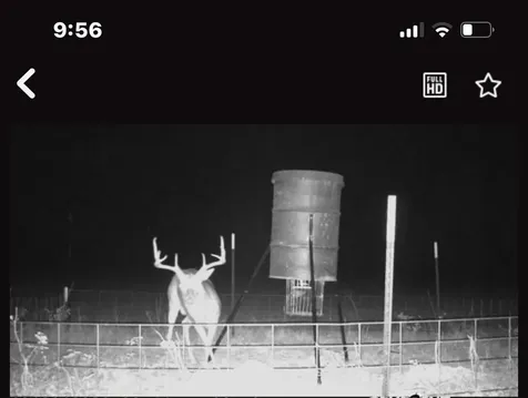 0000 Magee Bend Loop Groveton TX 75845