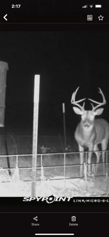 0000 Magee Bend Loop Groveton TX 75845