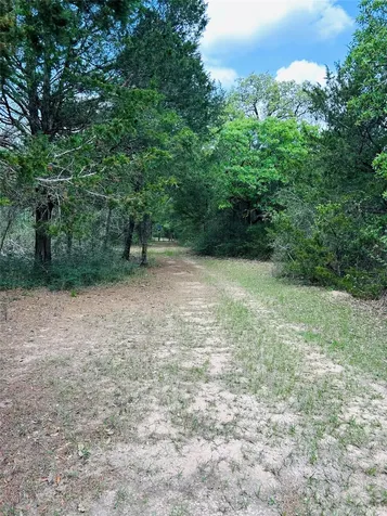 32 Acres Dunlavy Cat Spring TX 78933
