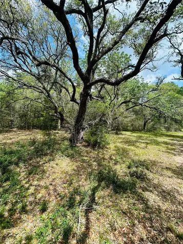 32 Acres Dunlavy Cat Spring TX 78933