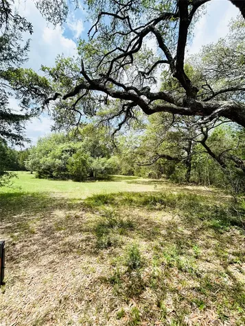 32 Acres Dunlavy Cat Spring TX 78933