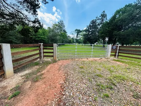 32 Acres Dunlavy Cat Spring TX 78933