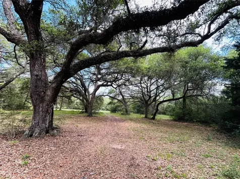32 Acres Dunlavy Cat Spring TX 78933