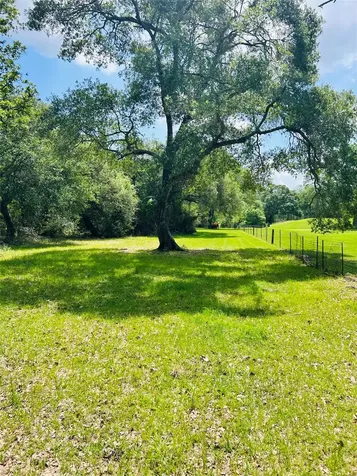 32 Acres Dunlavy Cat Spring TX 78933