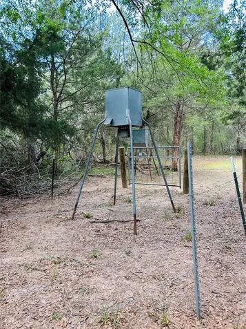 32 Acres Dunlavy Cat Spring TX 78933