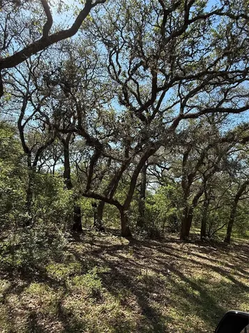 1222 Cr 2152 Rock Island TX 77470