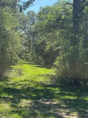1222 Cr 2152 Rock Island TX 77470