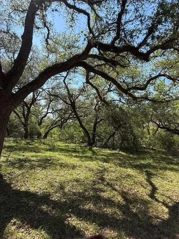 1222 Cr 2152 Rock Island TX 77470