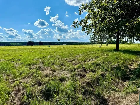 Tbd Lakeland Ranch Lot 422 Hillister TX 77624