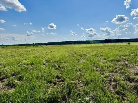 Tbd Lakeland Ranch Lot 422 Hillister TX 77624