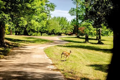 Tbd Lakeland Ranch Lot 422 Hillister TX 77624