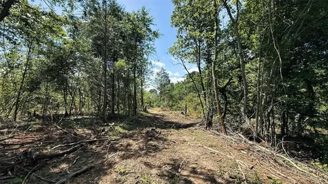 Tbd #8 County Road 477 Henderson TX 75654