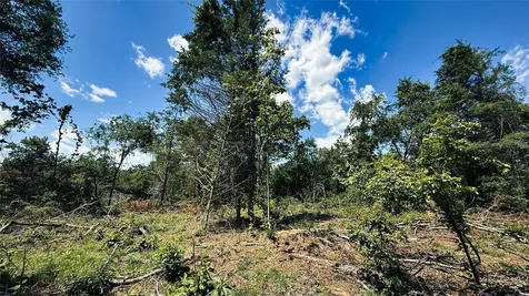 Tbd #8 County Road 477 Henderson TX 75654