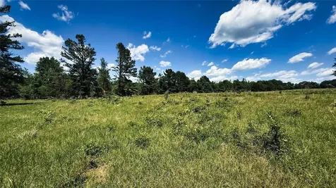 Tbd #8 County Road 477 Henderson TX 75654