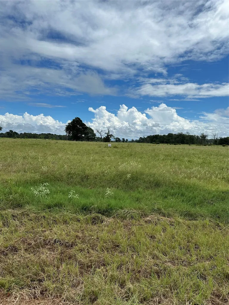 Tbd Private Road 2316 Trail 47 Tr48 Centerville TX 75833