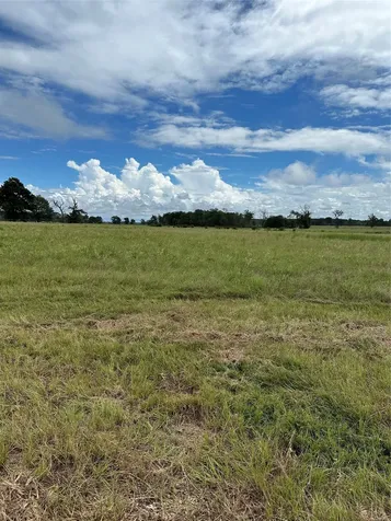 Tbd Private Road 2316 Trail 47 Tr48 Centerville TX 75833