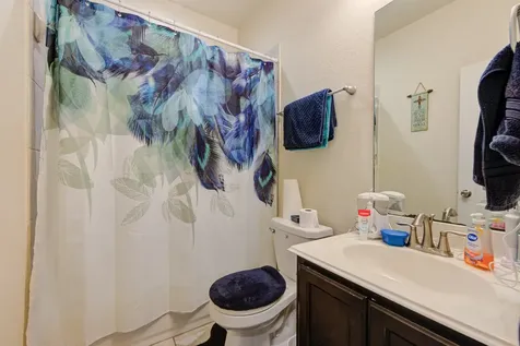 1510 Bella Garden Court Spring TX 77373