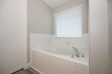 21526 Gannet Peak Way Katy TX 77449