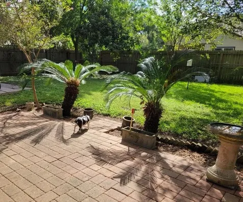 209 Montclaire Drive Drive West Columbia TX 77486