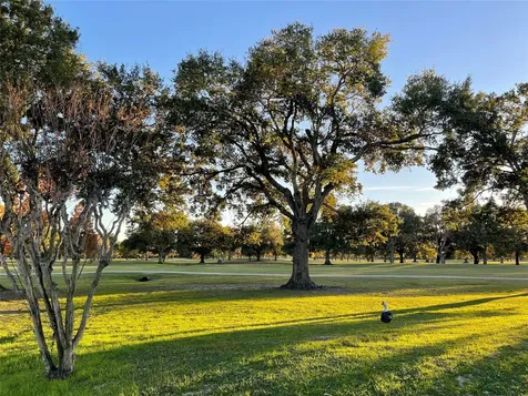 8365 Sands Point Drive 221 Houston TX 77036