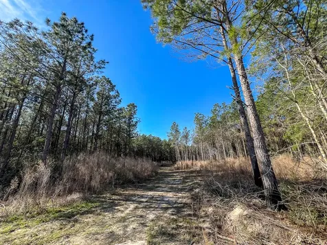 1 Off Fm 247 Huntsville TX 77340