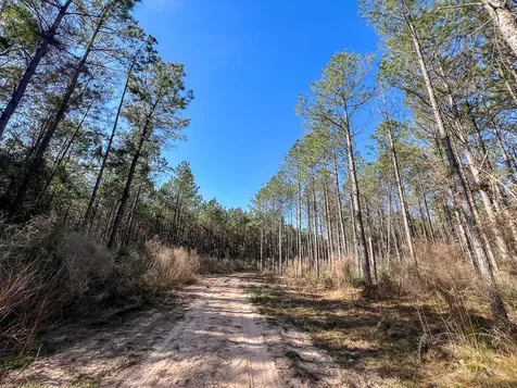 1 Off Fm 247 Huntsville TX 77340