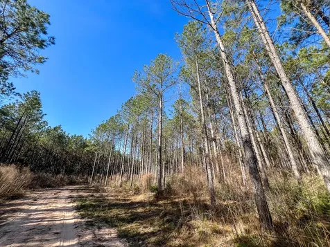 1 Off Fm 247 Huntsville TX 77340