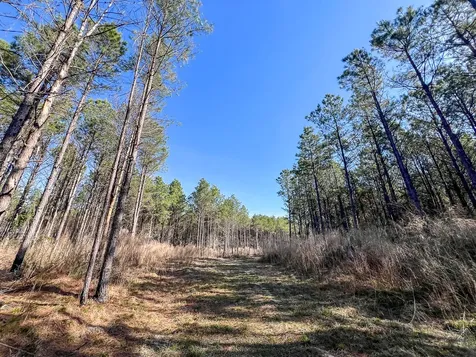 1 Off Fm 247 Huntsville TX 77340