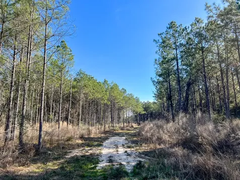 1 Off Fm 247 Huntsville TX 77340