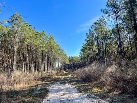 1 Off Fm 247 Huntsville TX 77340