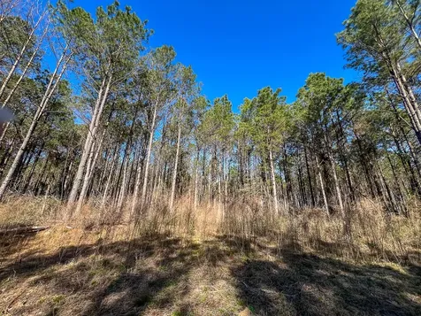1 Off Fm 247 Huntsville TX 77340