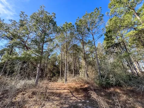 1 Off Fm 247 Huntsville TX 77340