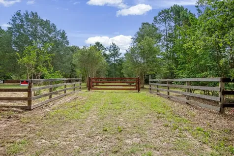 Tbd Lot 1 County Road 302 Plantersville TX 77363