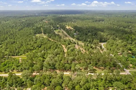 Tbd Lot 1 County Road 302 Plantersville TX 77363