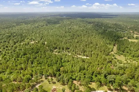 Tbd Lot 1 County Road 302 Plantersville TX 77363