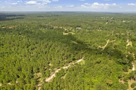 Tbd Lot 1 County Road 302 Plantersville TX 77363