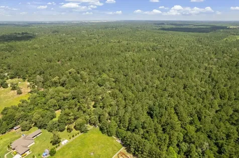 Tbd Lot 1 County Road 302 Plantersville TX 77363