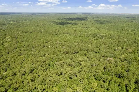 Tbd Lot 1 County Road 302 Plantersville TX 77363