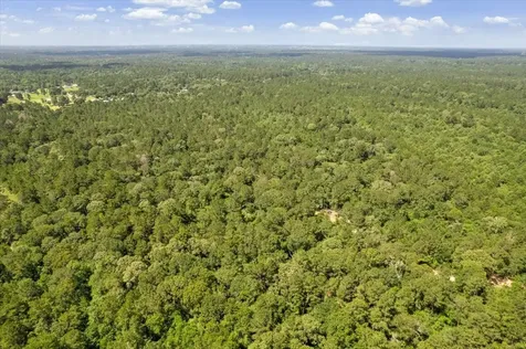 Tbd Lot 1 County Road 302 Plantersville TX 77363