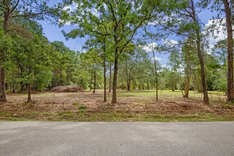 Tbd Lot 1 County Road 302 Plantersville TX 77363