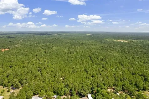 Tbd Lot 1 County Road 302 Plantersville TX 77363
