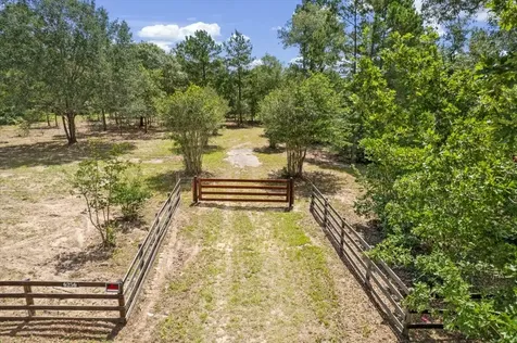 Tbd Lot 1 County Road 302 Plantersville TX 77363