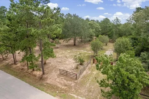 Tbd Lot 1 County Road 302 Plantersville TX 77363
