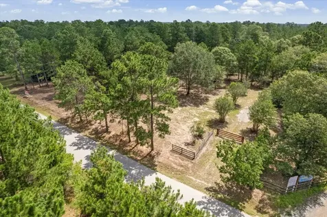 Tbd Lot 1 County Road 302 Plantersville TX 77363