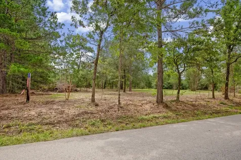 Tbd Lot 1 County Road 302 Plantersville TX 77363