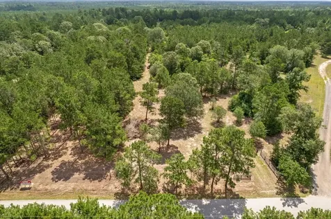 Tbd Lot 1 County Road 302 Plantersville TX 77363