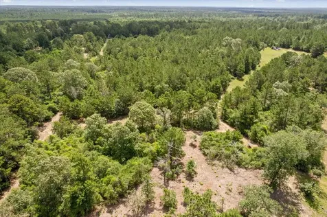 Tbd Lot 1 County Road 302 Plantersville TX 77363