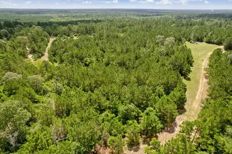Tbd Lot 1 County Road 302 Plantersville TX 77363