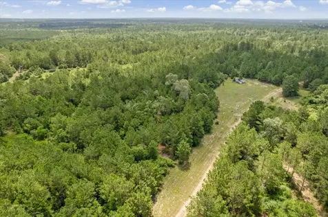 Tbd Lot 1 County Road 302 Plantersville TX 77363