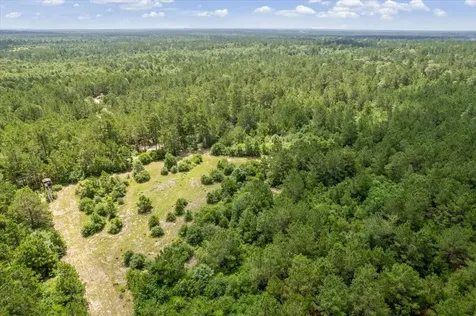 Tbd Lot 1 County Road 302 Plantersville TX 77363